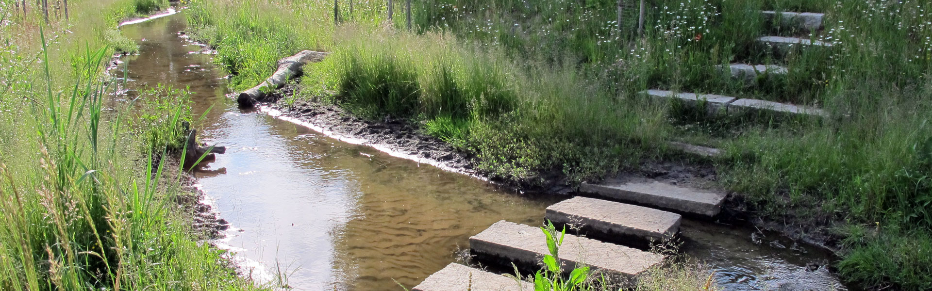 Header Markt Kühbach 011